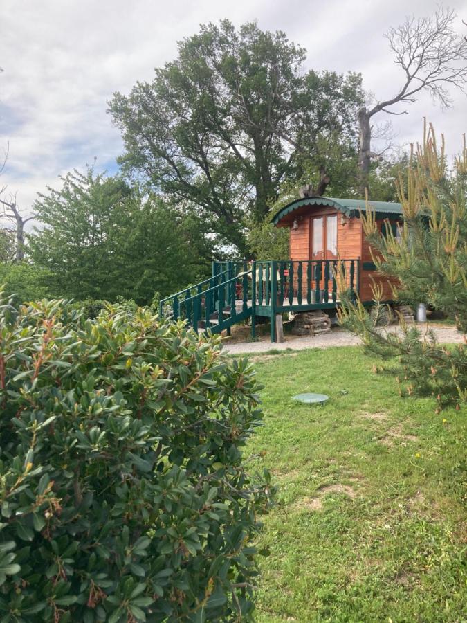 Domaine La Carriere Villa Toulon-sur-Allier Eksteriør bilde