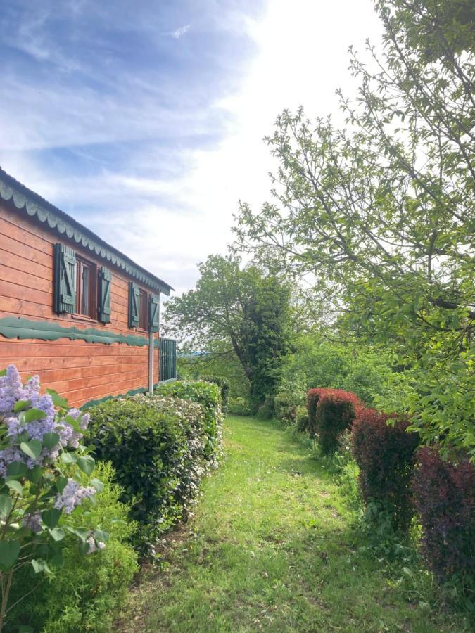 Domaine La Carriere Villa Toulon-sur-Allier Eksteriør bilde